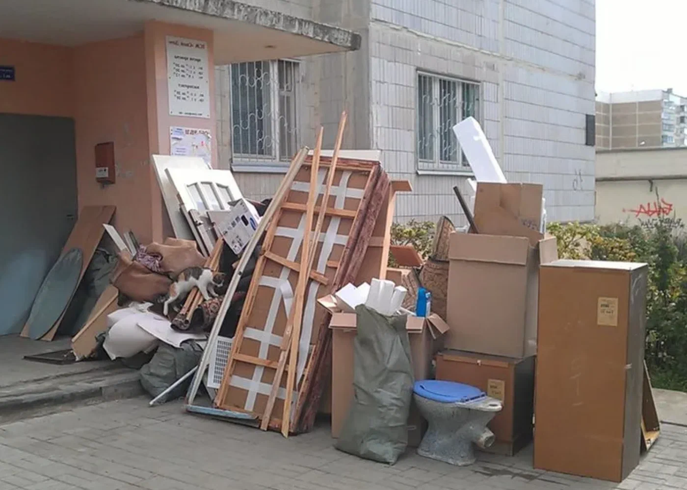 Профессиональный вывоз мусора из квартиры в Спасске-Дальнем в октябре