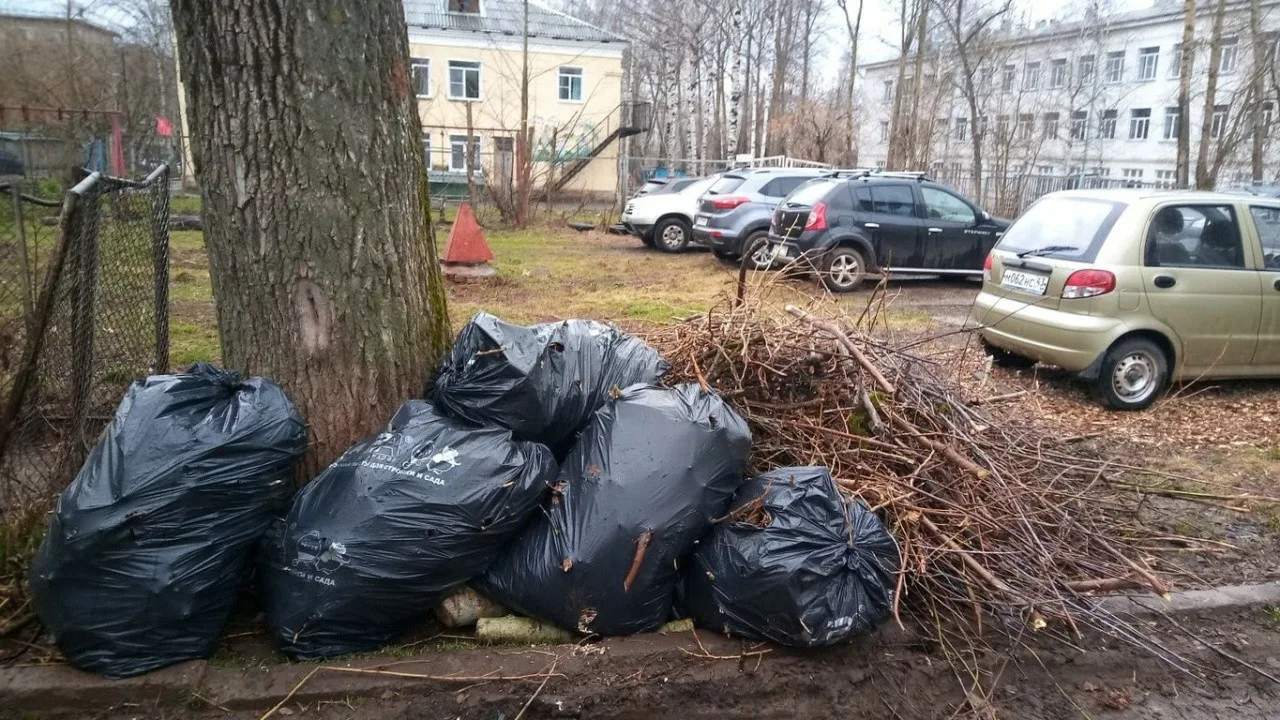 Вывоз мусора после субботника в Спасске-Дальнем от ПроМусор – уборка и утилизация отходов от 2432 руб