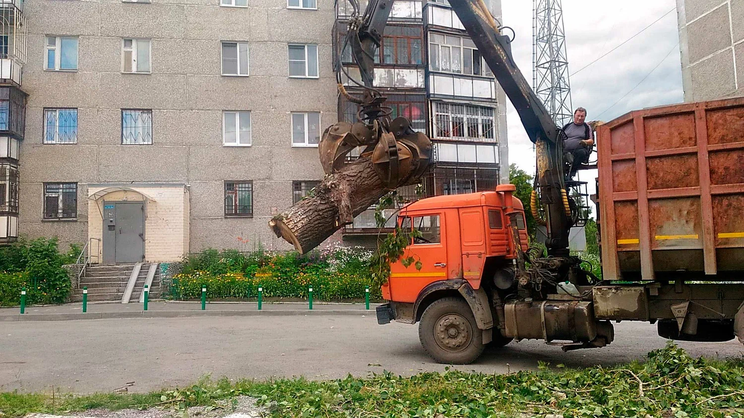 Вывоз спиленных веток и деревьев в Спасске-Дальнем от ПроМусор: порубочные остатки, утилизация, цена от 3001 руб
