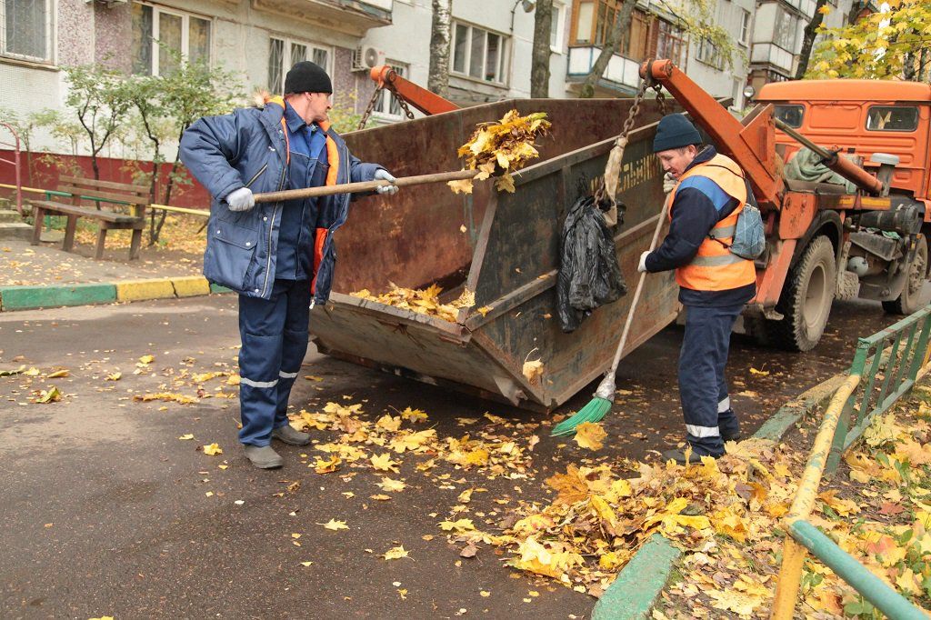 Вывоз опавшей листвы и растительного мусора в Спасске-Дальнем от ПроМусор – цена от 4656 руб., быстрая уборка и утилизация